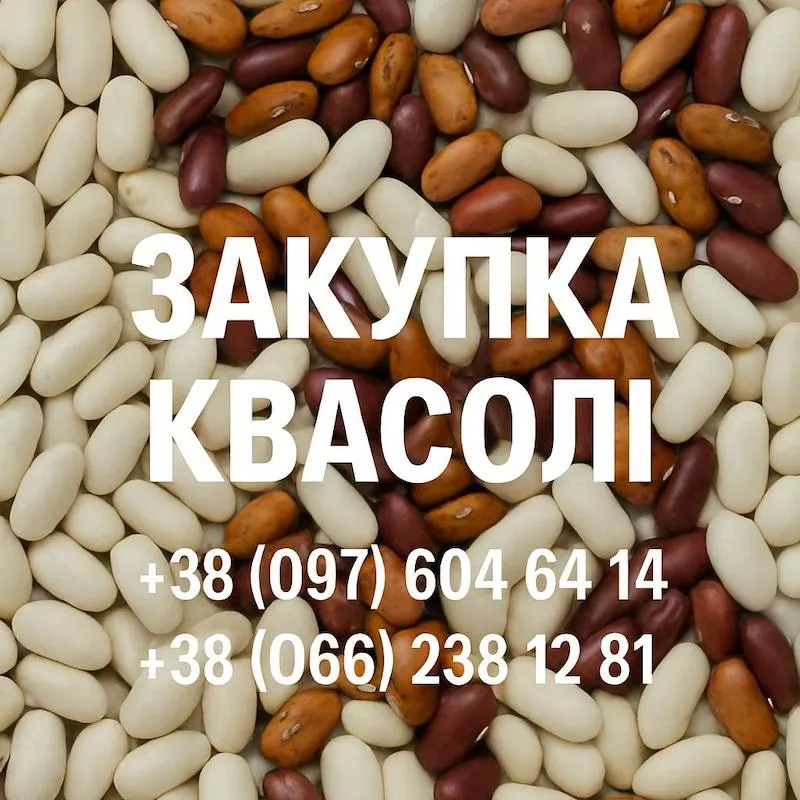 Купуємо квасолю різних сортів