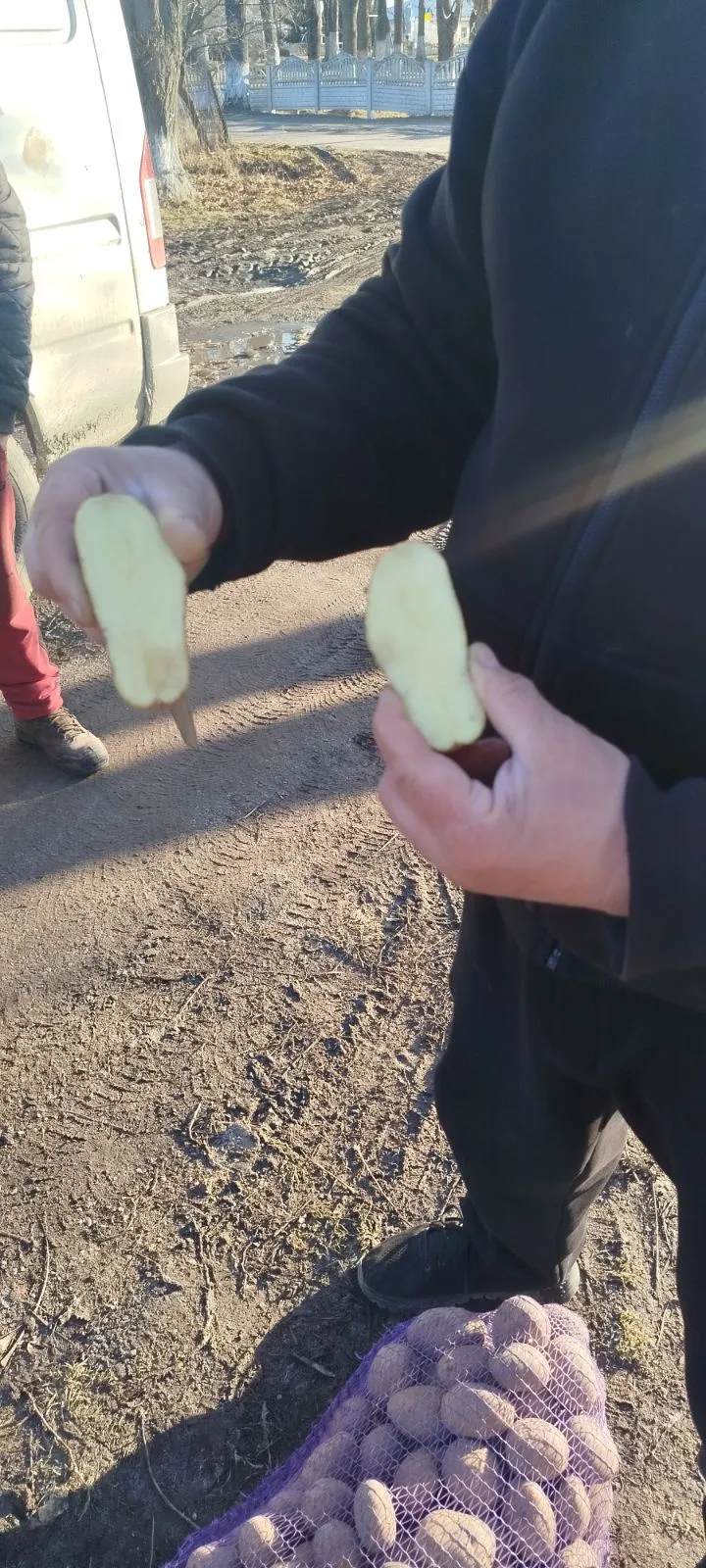 Зображення