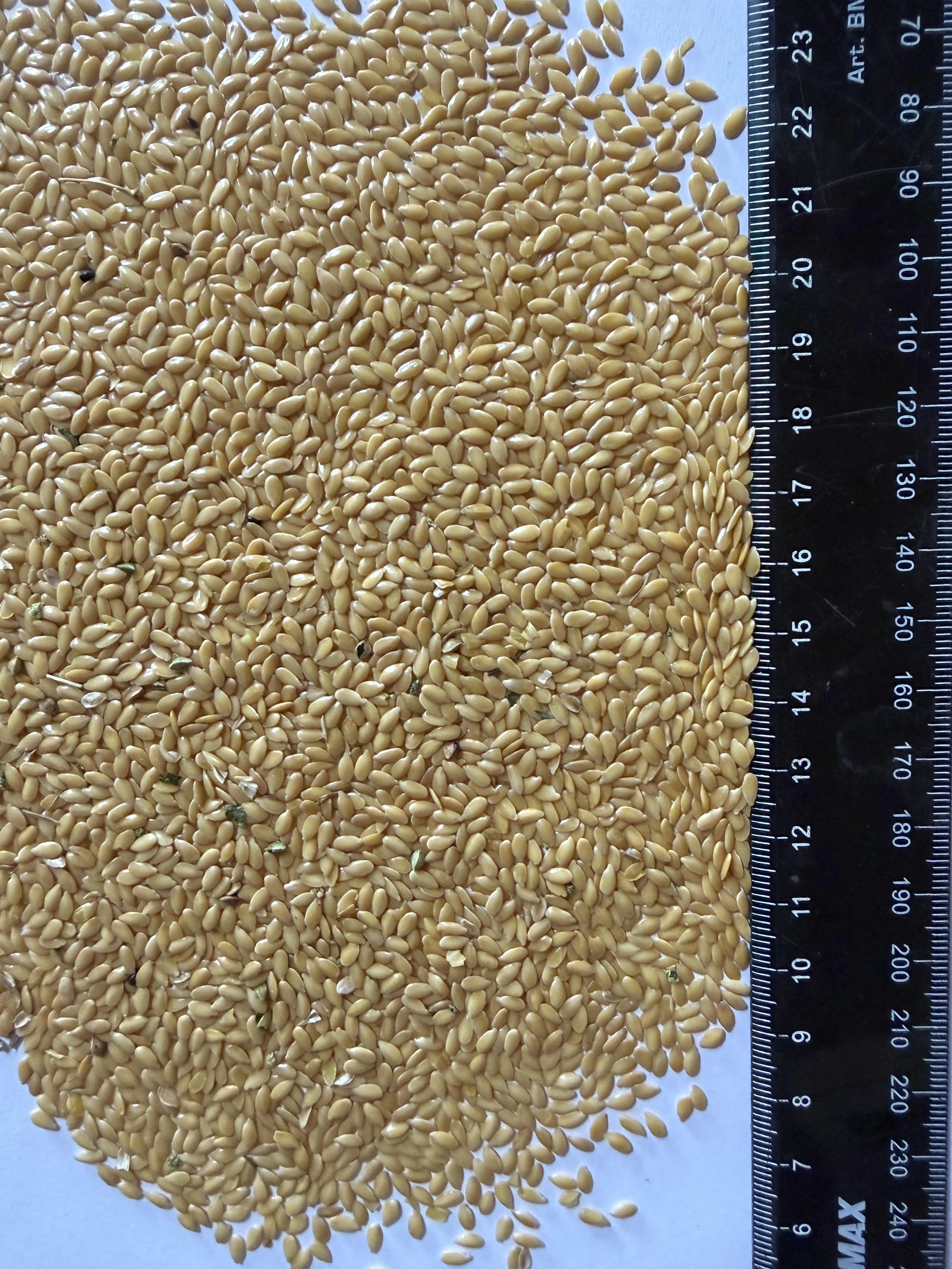 Продам Льон(золотистий)