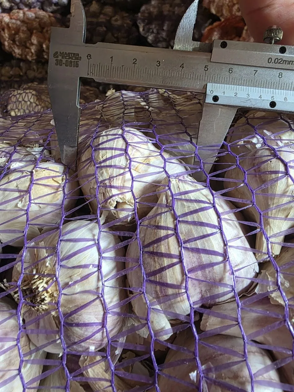 Продам часник 4 та 5 опт з ПДВ 