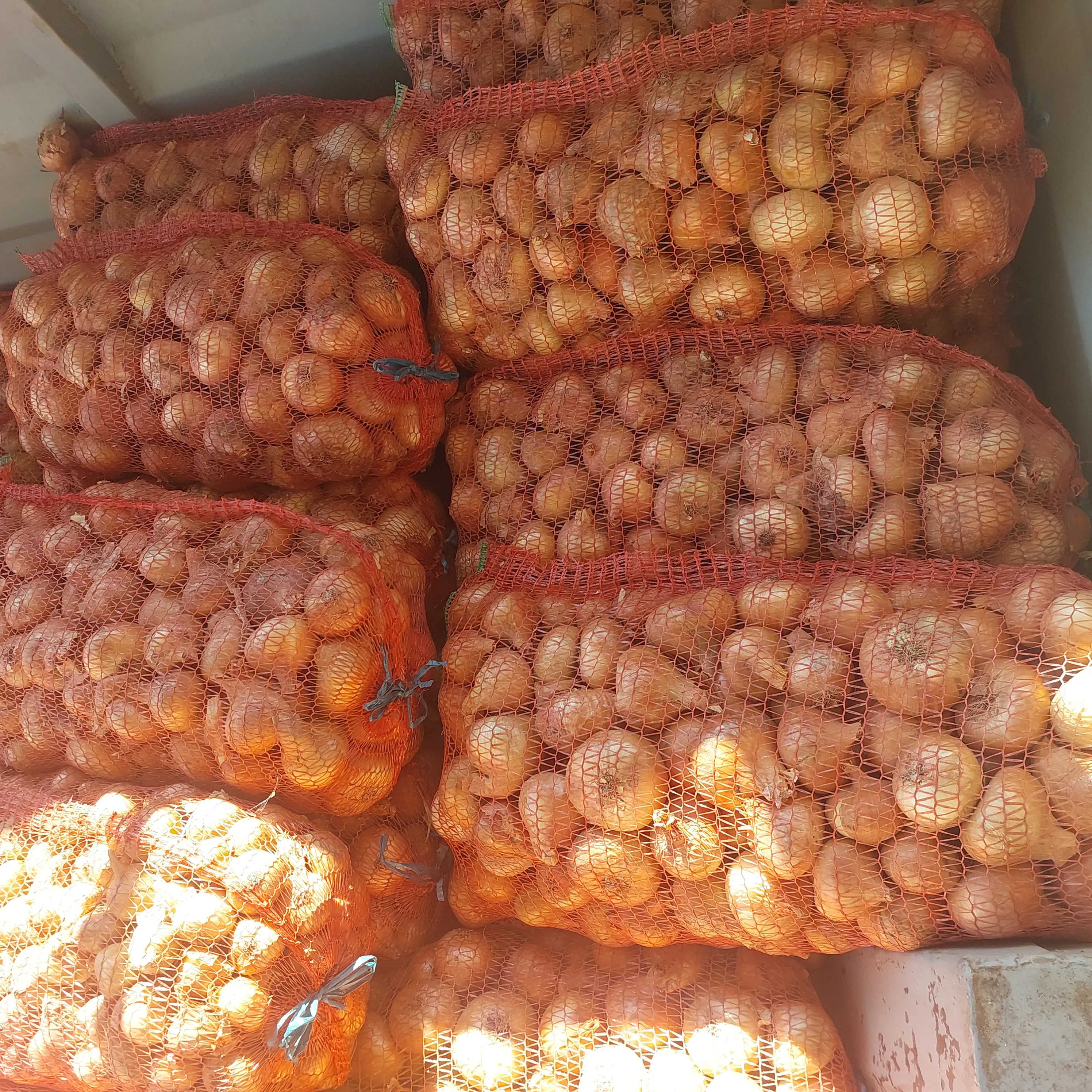 Продам цибулю штутгарт!!