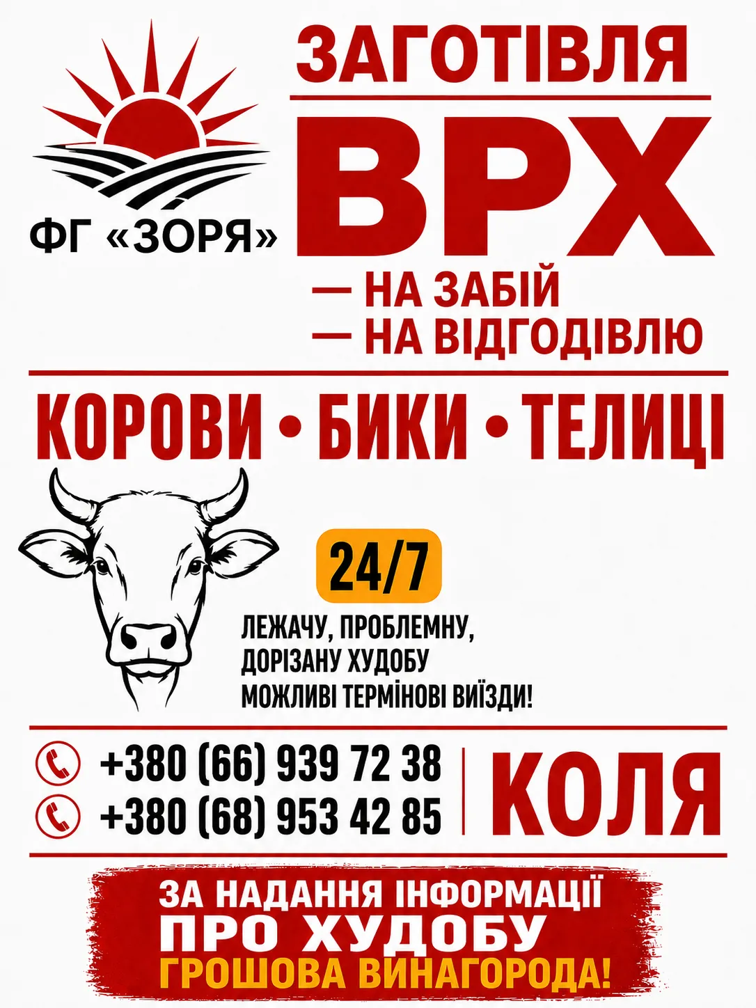 Закупівля ВРХ на утримання та забій 