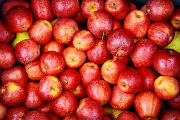 Яблука 🍎 