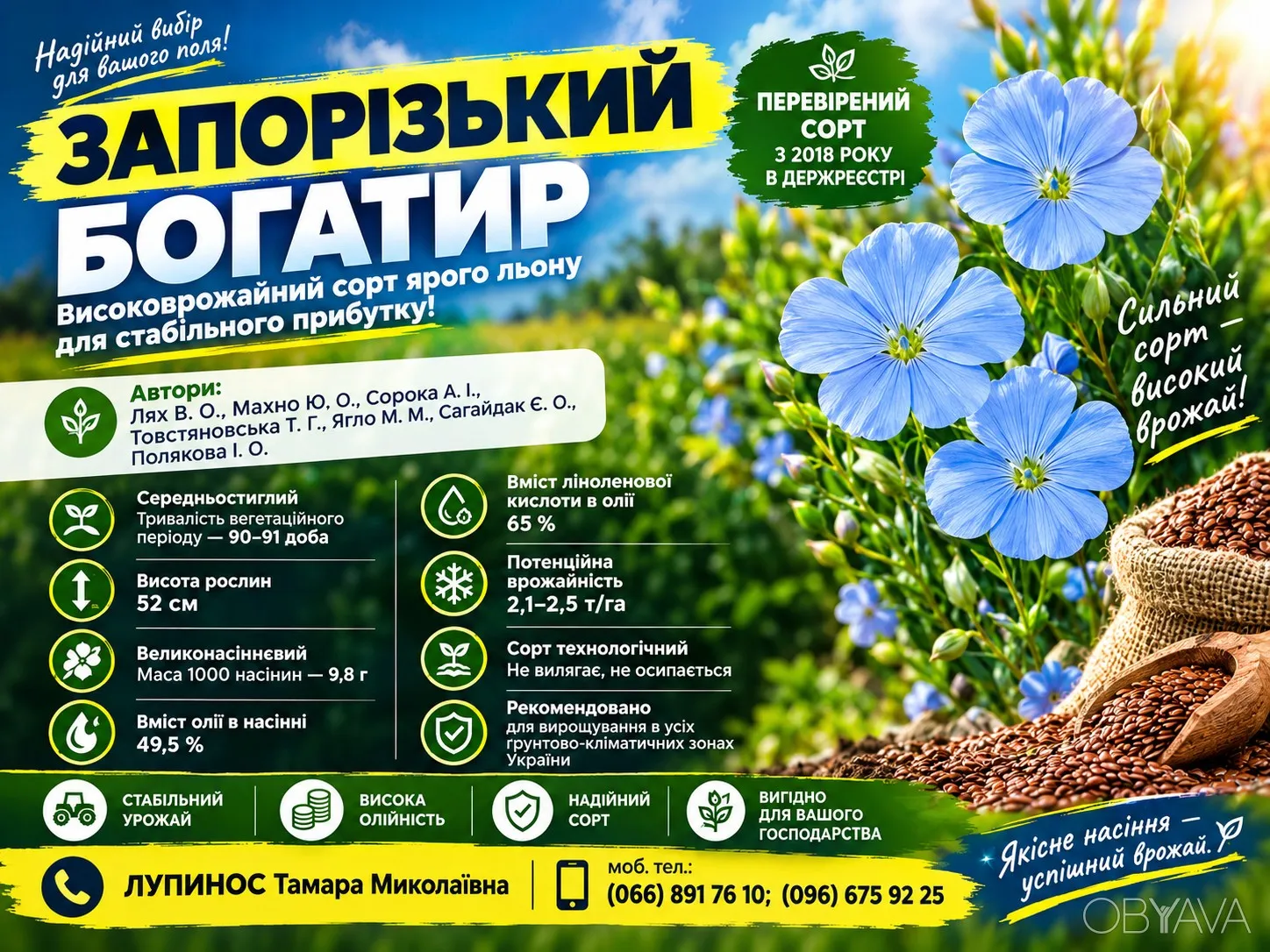 Насіння льону олійного Запорізький богатир 1 репродукція | НААН
