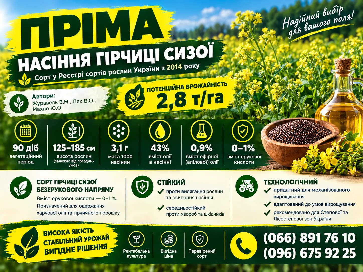 🌱 НАСІННЯ ГІРЧИЦІ СИЗОЇ «ПРІМА»